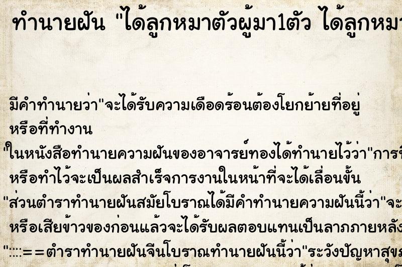 ทำนายฝันได้ลูกหมาตัวผู้มา1ตัวได้ลูกหมาตัวผู้มา1ตัว ทำนายฝันทำนายฝันได้ลูกหมาตัวผู้มา1ตัวได้ลูกหมาตัวผู้มา1ตัว
